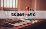 麦粒贷是哪个公司的(麦粒宝借款是黑网贷平台吗)