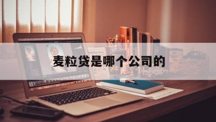 麦粒贷是哪个公司的(麦粒宝借款是黑网贷平台吗)