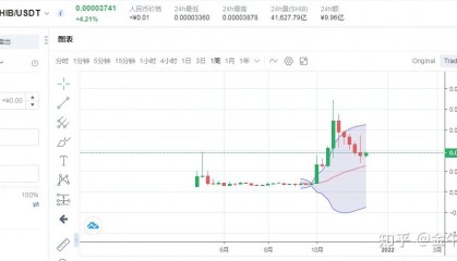 狗币走势(狗币今日价格走势图)