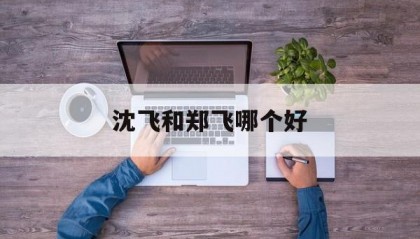 沈飞和郑飞哪个好(沈飞和沈飞民机的关系)